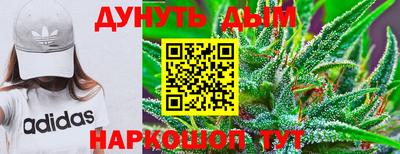 прущие грибы Пенза