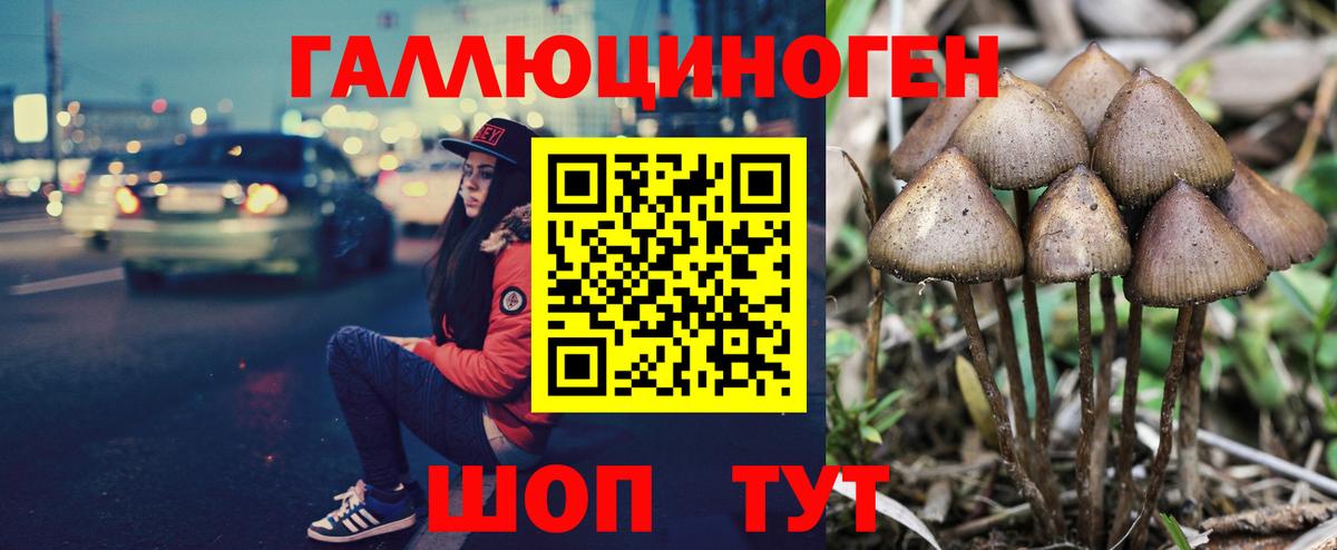 Псилоцибиновые грибы мицелий  купить наркоту  Сокол  Вход с VPN 