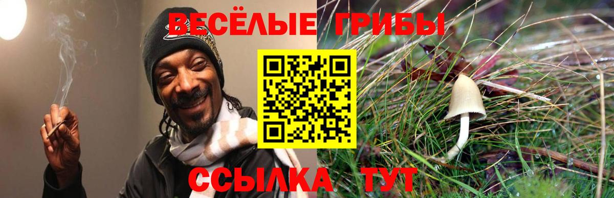 Галлюциногенные грибы мухоморы Сокол